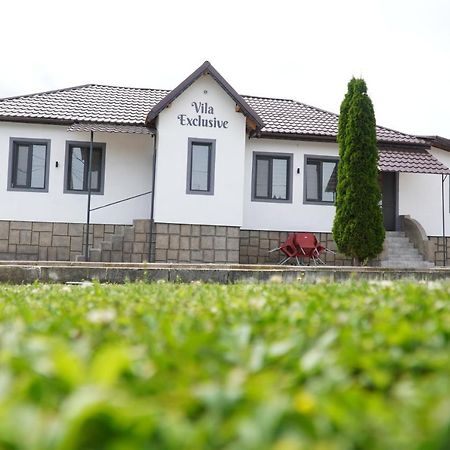 Vila Exclusive Târgu Jiu Dış mekan fotoğraf