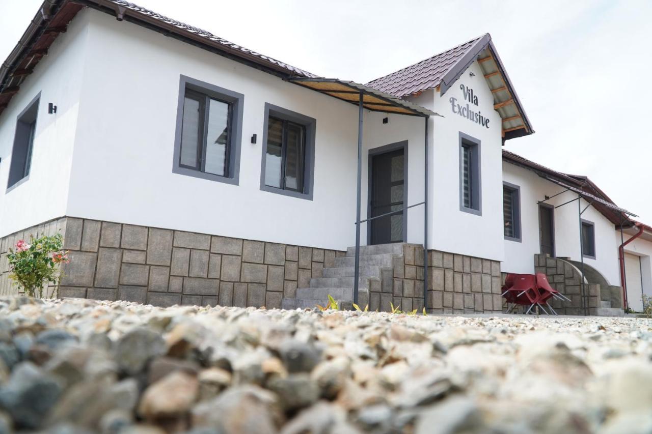 Vila Exclusive Târgu Jiu Dış mekan fotoğraf